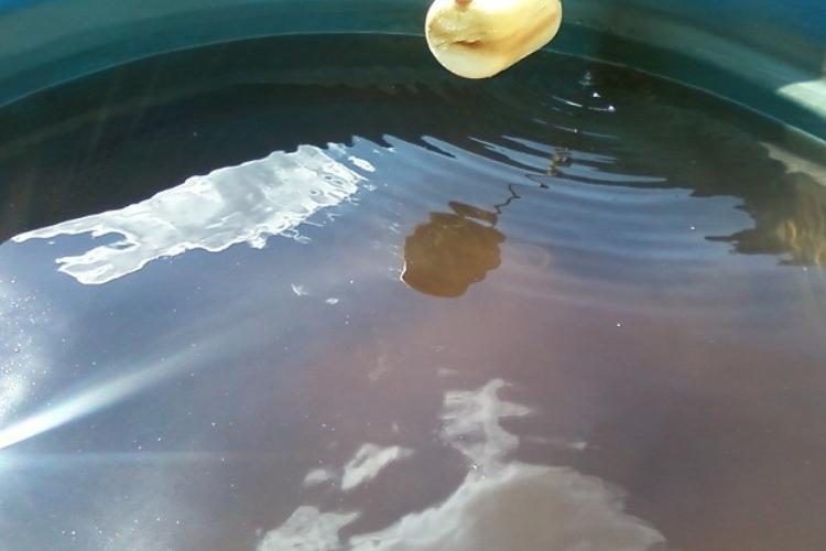 limpeza de caixa d'água em niterói são gonçalo rio de janeiro